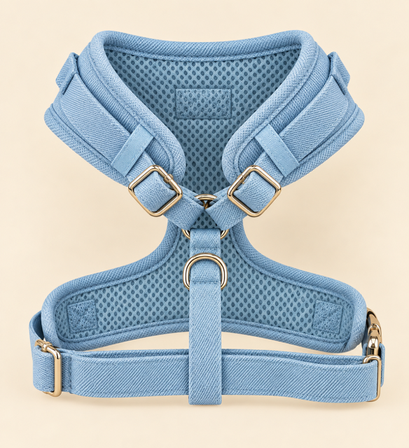 Harnais Denim- Collection Riviera