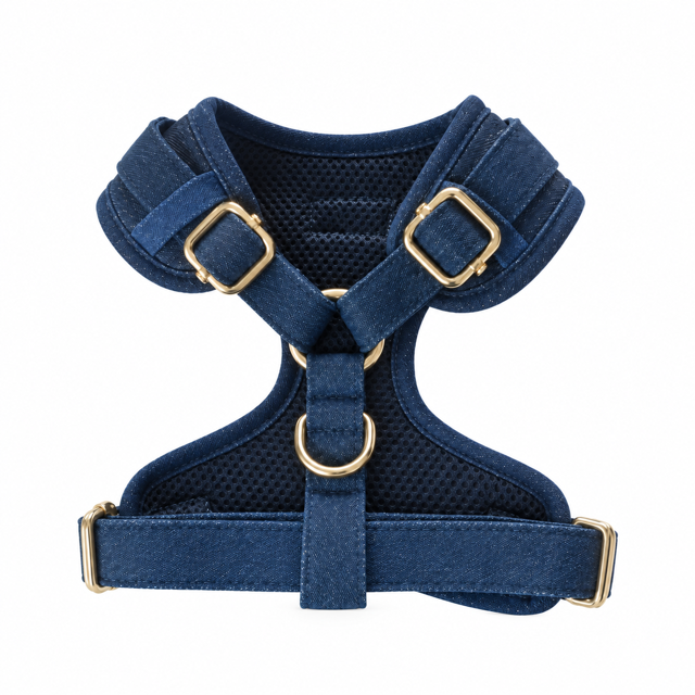 Ensemble Indigo