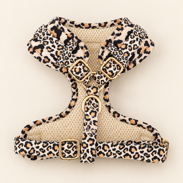 Harnais leopard – Collection Savane