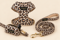 Ensemble Savane